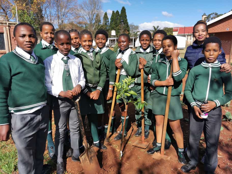 Mzi Gardening