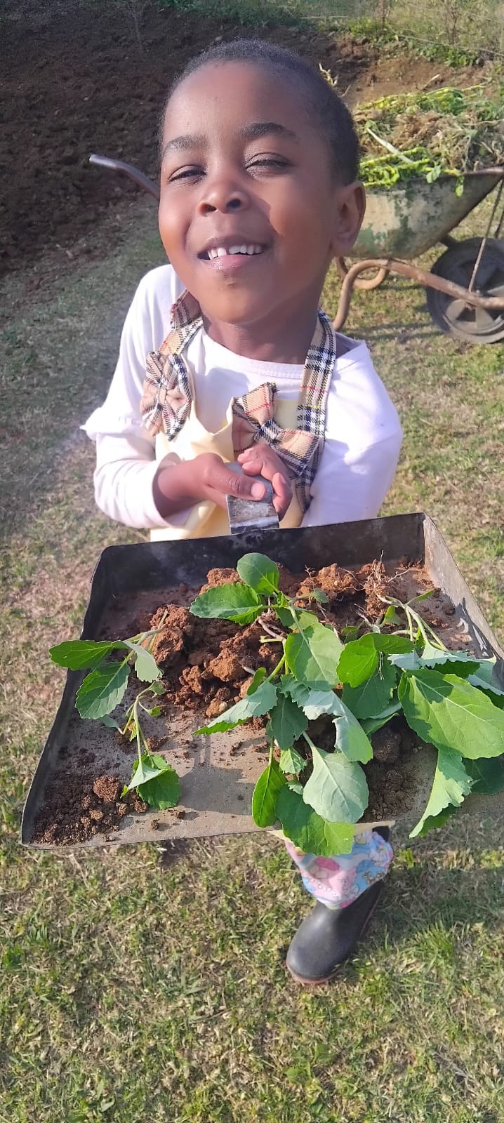 Agriculture